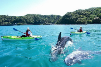 青い海でカヤックを楽しむ人々とクジラ