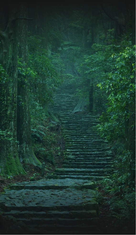 熊野古道の神聖な森