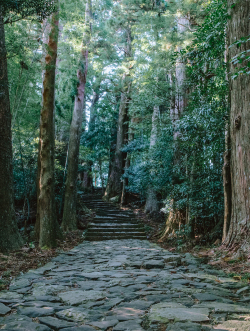 熊野古道の石畳